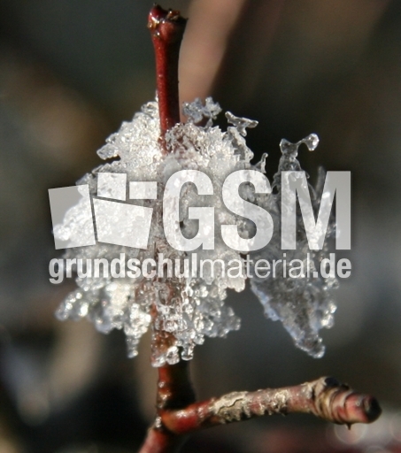 Winterimpressionen 045.jpg